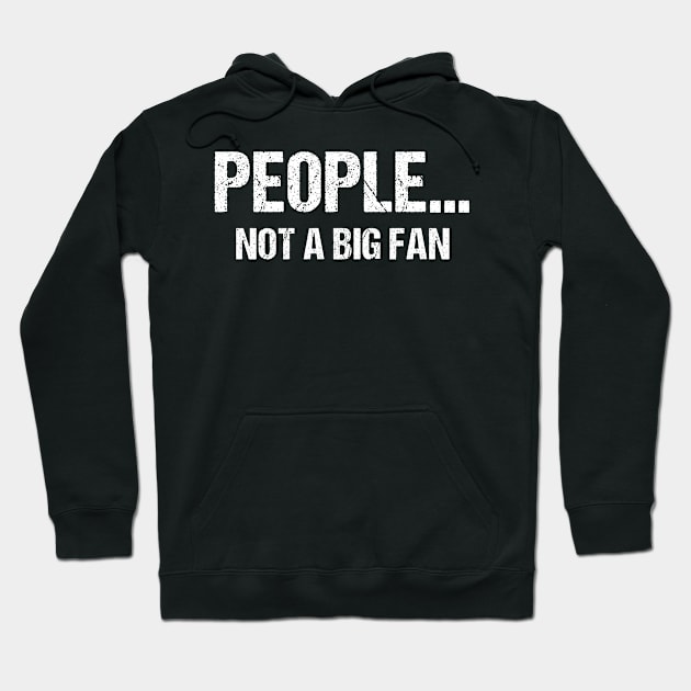 Funny Sarcastic People Not A Big Fan Tshirt Introvert Quote Hoodie by TellingTales